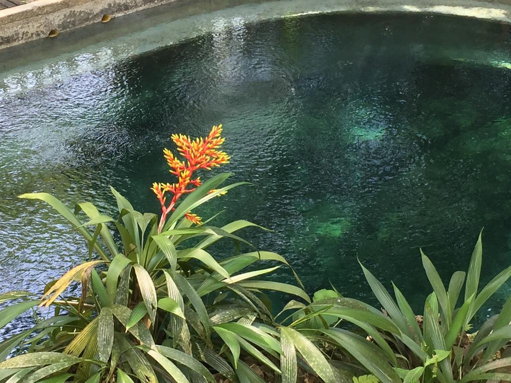 La Kuka Hotel - Nuqui Luaran gambar